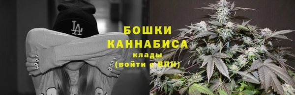 индика Ладушкин