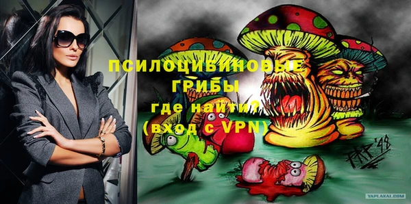 спиды Лагань