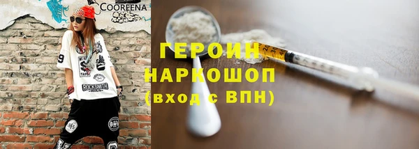 индика Ладушкин