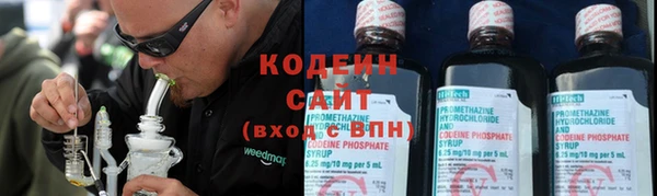индика Ладушкин