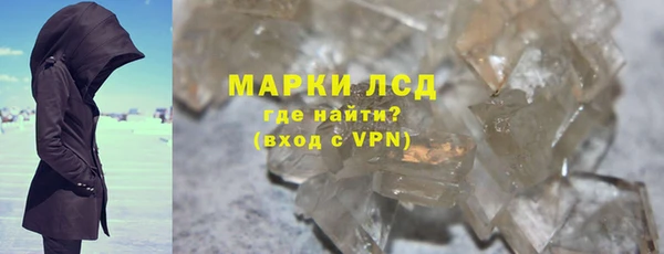 индика Ладушкин