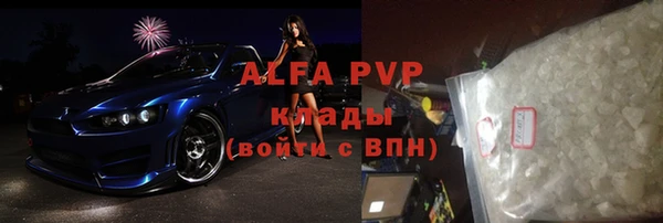 индика Ладушкин