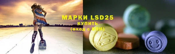 индика Ладушкин