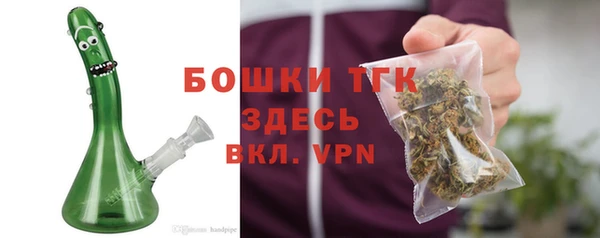 спиды Лагань