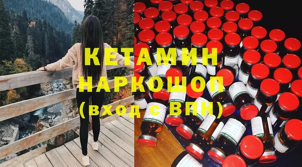 индика Ладушкин