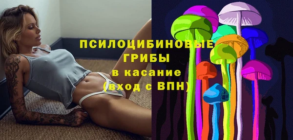 спиды Лагань