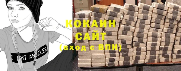 индика Ладушкин