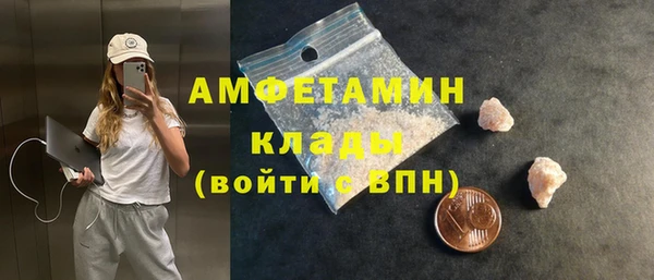 индика Ладушкин