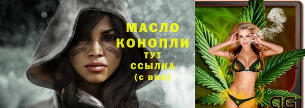 индика Ладушкин